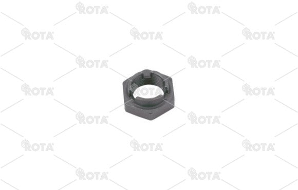 Nut - Image 1